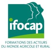 Logo_IFOCAP